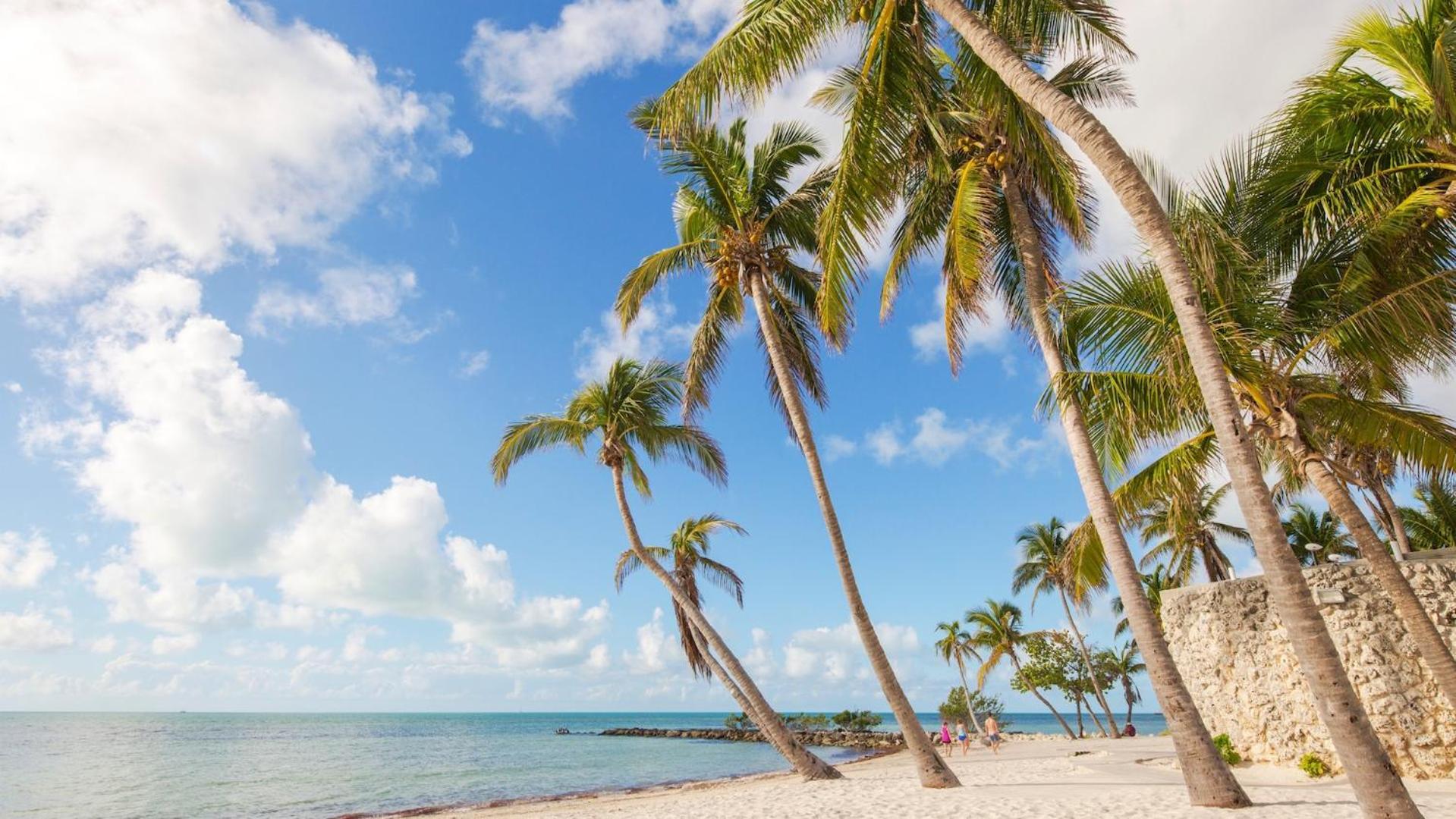 Dockside Daydreams By Last Key Realty Villa Key West Bagian luar foto